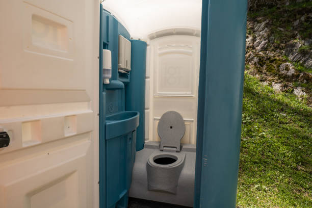 Best Best portable toilet rental  in St Louis, MI
